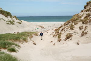 Berneray West Beach Sand Dunes